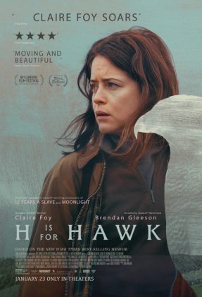 h-is-for-hawk